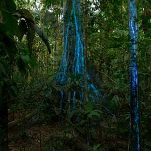 Foto Nuestro mundo lleno de vida