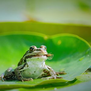 Foto Nuestro mundo lleno de vida