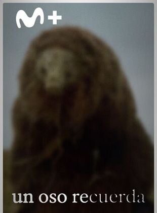 Cartel de Un oso recuerda