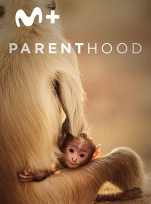 Cartel de Parenthood