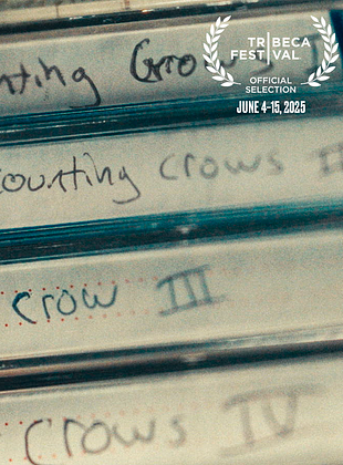 Cartel de Counting Crows: Have You Seen Me Lately?