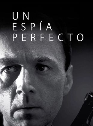 Cartel de Un espía perfecto