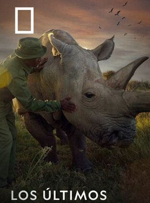 Cartel de The Last Rhinos: A New Hope