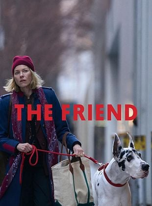 Cartel de  The Friend