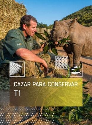 Cartel de Cazar para conservar