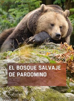 Cartel de El bosque salvaje de Pardomino
