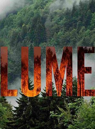 Cartel de Lume