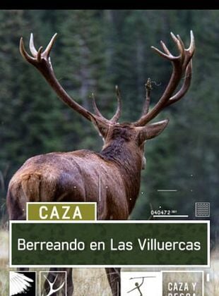 Cartel de Berreando en Las Villuercas