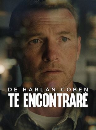 Cartel de Te encontraré