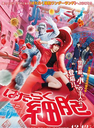 Cells at Work: The Code of Life