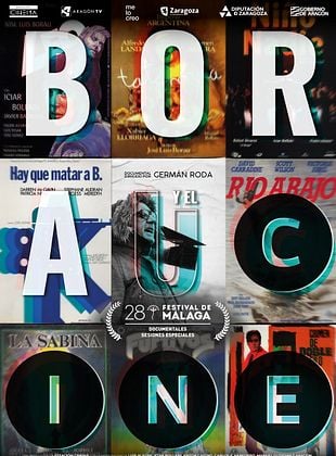 Cartel de Borau y el cine