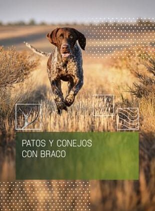 Cartel de Patos y conejos con braco