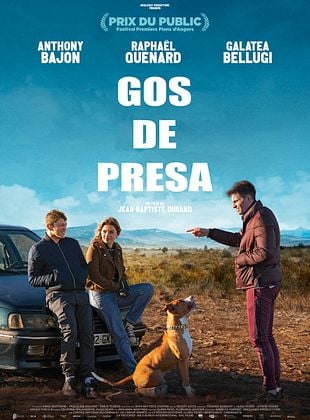 Cartel de Gos de presa