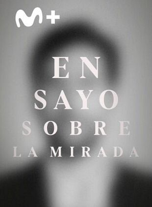 Cartel de Ensayo sobre la mirada