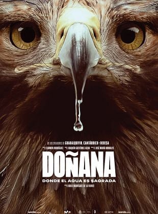Cartel de  Doñana, donde el agua es sagrada