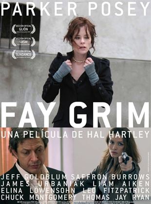  Fay Grim