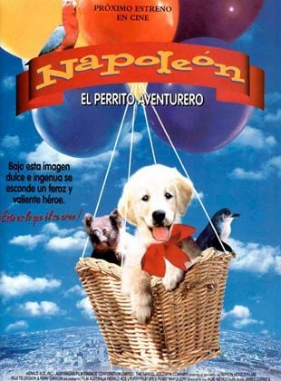  Napoleón, el perrito aventurero
