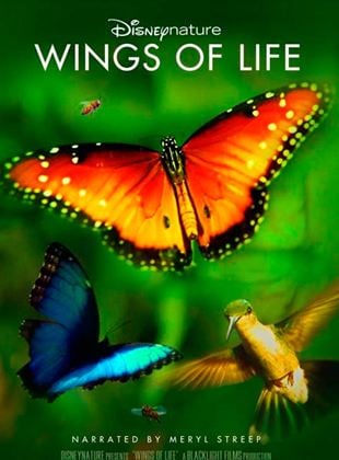  Disneynature: Wings of Life