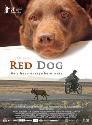  Red Dog