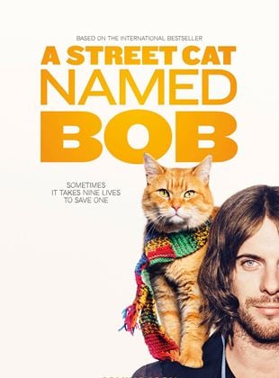  Un gato callejero llamado Bob