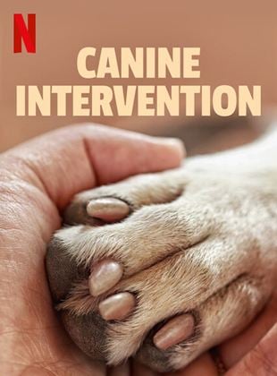 Terapia canina