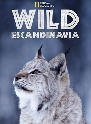 Wild Escandinavia