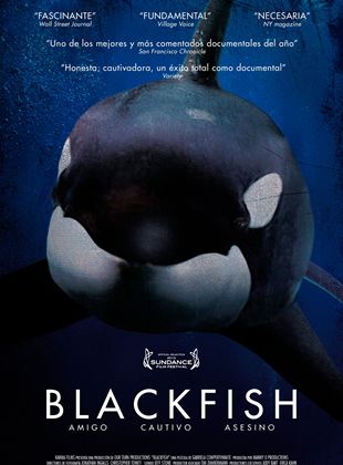  Blackfish