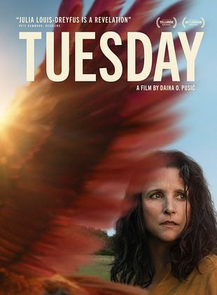 Cartel de Tuesday