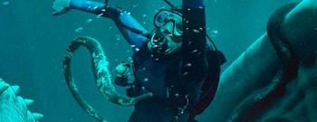 Brian Duffield de 'Whalefall': “Una de nuestras expertas en ballenas estaba bastante decepcionada porque no habíamos incluido úlceras ni parásitos”