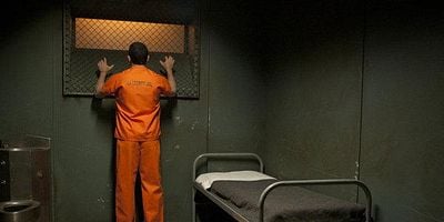 Cartel de Turtles All the Way Down