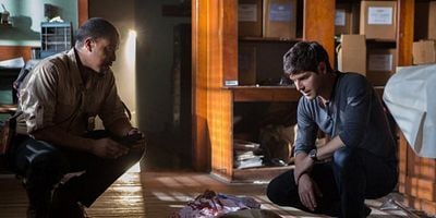 Cartel de La plaga amarilla