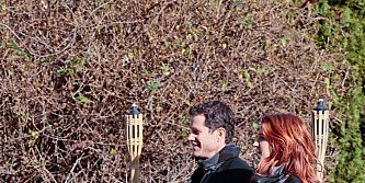 Cartel de Brotherhood