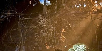 Cartel de Negocios inacabados