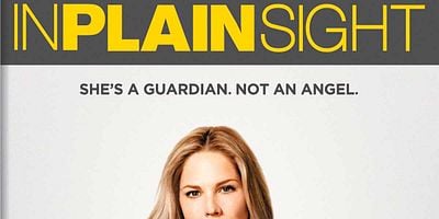 Cartel de The Art of the Steal