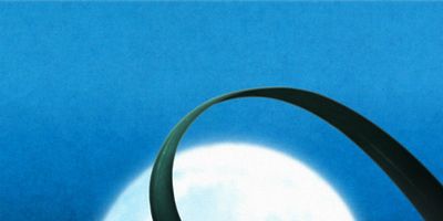 Cartel de The Ladybug