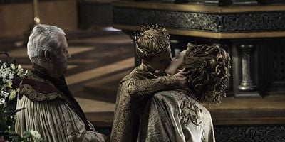 Cartel de El león y la rosa