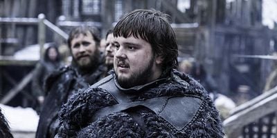 Cartel de El sinsonte