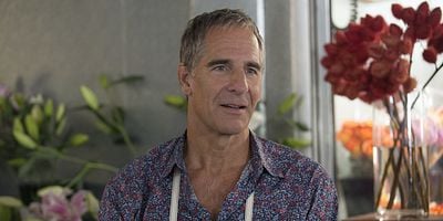 Cartel de Looking for $220/Hour