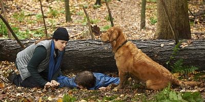 Cartel de Narrow Margin