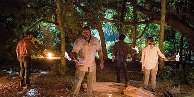 Cartel de Eats, Shoots and Leaves