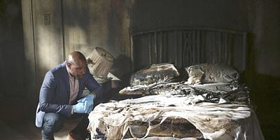 Cartel de Necrosis and New Beginnings