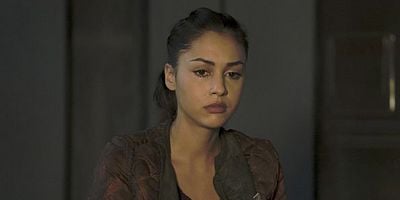 Cartel de Terms and Conditions