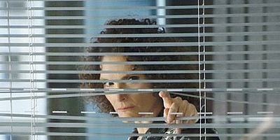 Cartel de A Dog's Breakfast