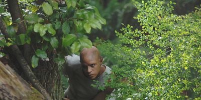 Cartel de Pass Judgment