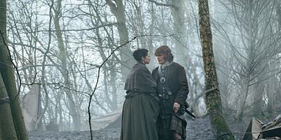 Cartel de Libélula en ámbar