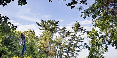 Cartel de Liminal Twilight