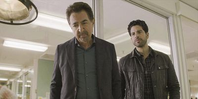 Cartel de Macho Alfa