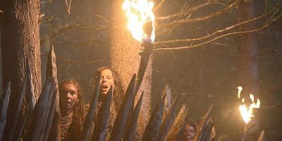 Cartel de Where the Wild Things Were