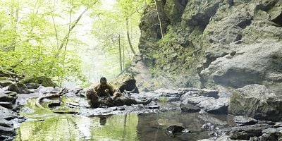 Cartel de Lead Horse Back To Stable