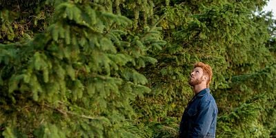 Cartel de A Prayer for Mad Sweeney